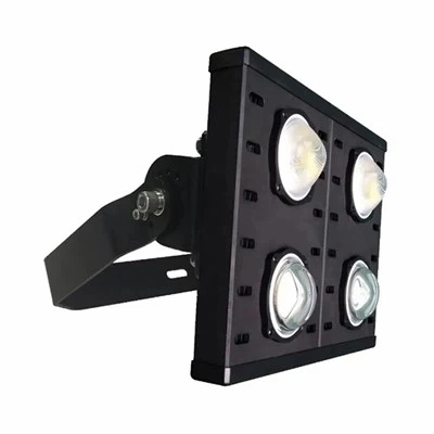 LED Flood Light IP66